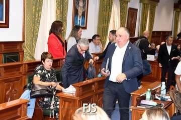  La lucha contra la lacra machista se sube al taxi en Telde/Francisco Javier Santana.